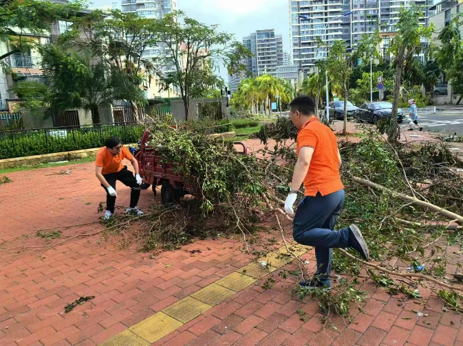 1726280040255341 图片2.png