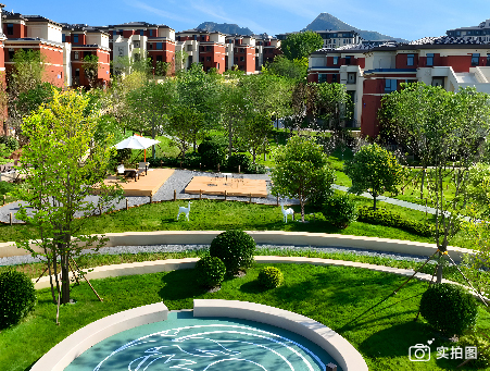 wangzhangengxin-18.jpg